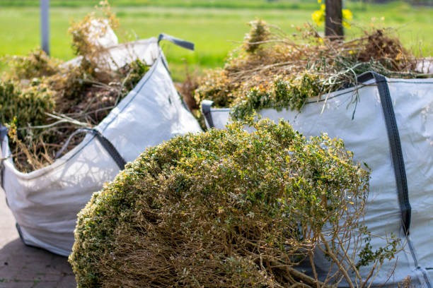 Reliable Little Cypress, TX Junk Removal Solutions